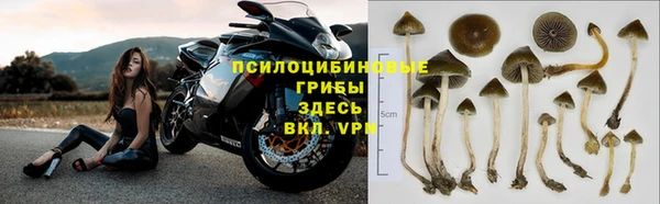 мдма Богданович